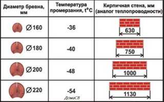 Из какого дерева строить баню