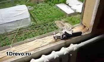 Деревянный проем 