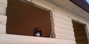 Выпиливание проёма